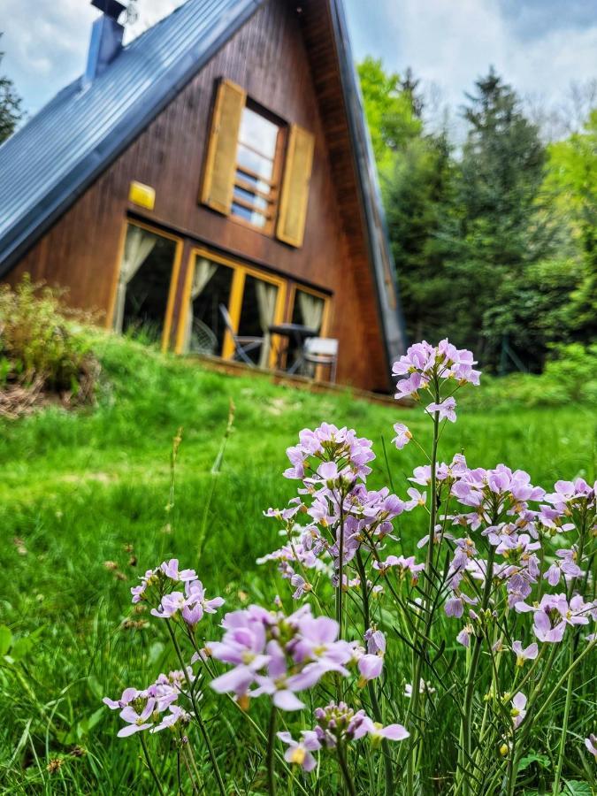 Chata Pod Tolstejnem Villa Jiretin pod Jedlovou Luaran gambar